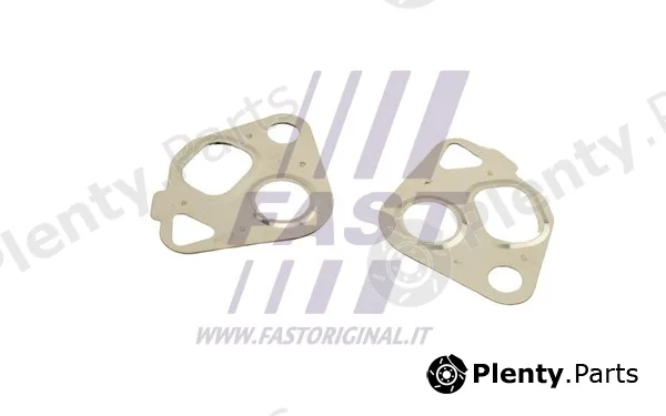 Fast FT50607 — Gasket Set, EGR system
