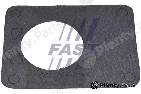 Fast FT49901 — Gasket, vacuum pump