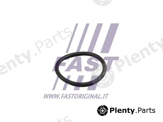Fast FT49919 — Seal Ring, coolant pipe