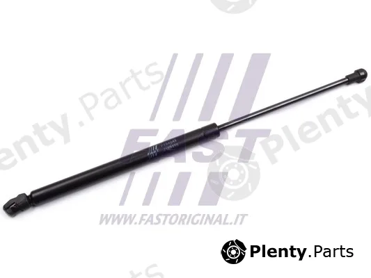 Fast FT94044 — Gas Spring, boot/cargo area