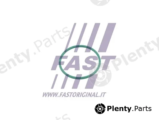Fast FT49921 — Seal Ring, charge air hose