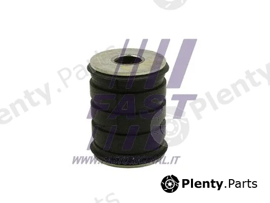 Fast FT13704 — Mounting, leaf spring