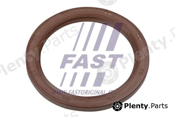 Fast FT49794 — Shaft Seal, differential