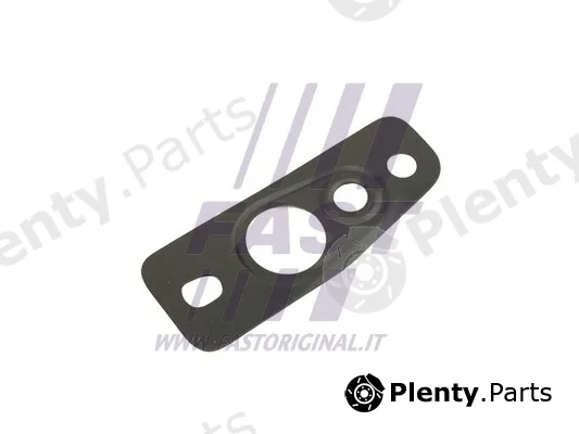 Fast FT48807 — Seal Ring, oil outlet (charger)
