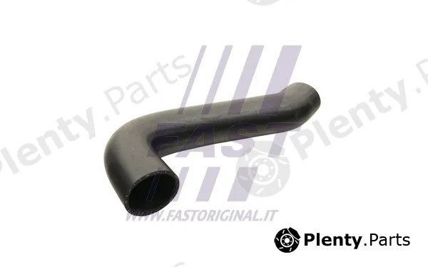 Fast FT65137 — Charge Air Hose