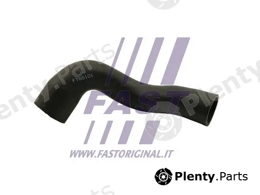 Fast FT65101 — Charge Air Hose