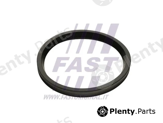 Fast FT48947 — Seal Ring, charge air hose