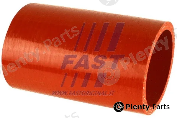 Fast FT61930 — Charge Air Hose