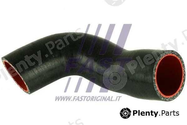 Fast FT61934 — Charge Air Hose
