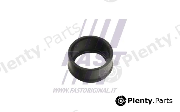 Fast FT48953 — Seal Ring, charge air hose