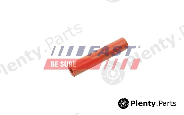 Fast FT63806 — Charge Air Hose