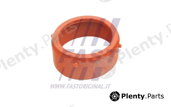 Fast FT48813 — Gasket, charger