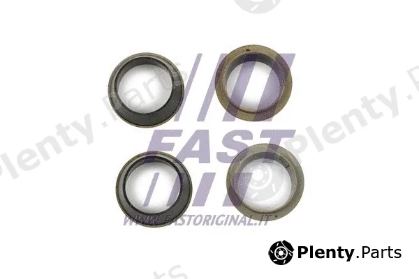 Fast FT49843 — Seal Kit, injector nozzle
