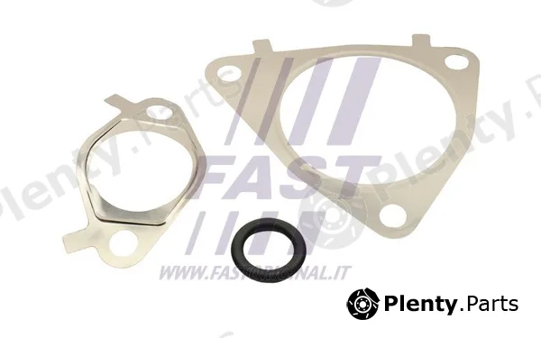 Fast FT50617 — Gasket Set, EGR system
