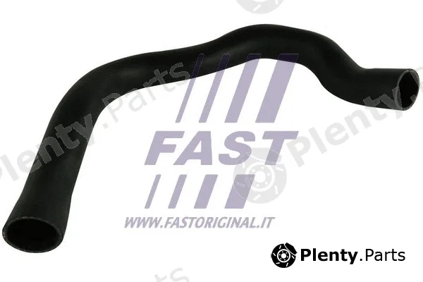Fast FT61706 — Charge Air Hose