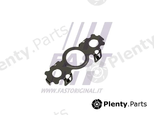 Fast FT48811 — Seal Ring, oil outlet (charger)
