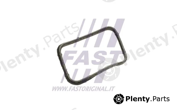 Fast FT58302 — Seal, thermostat