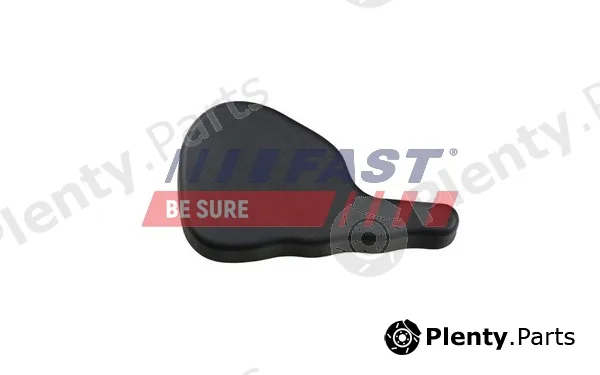 Fast FT94418 — Door Handle, interior equipment
