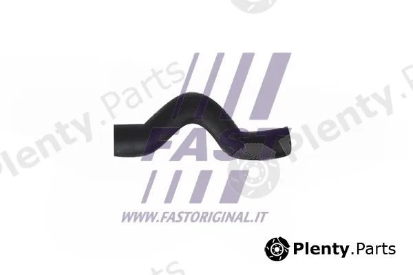 Fast FT61955 — Charge Air Hose