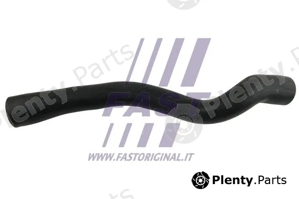 Fast FT61973 — Charge Air Hose