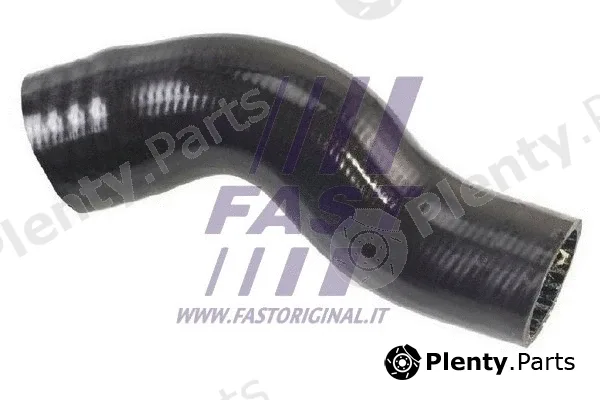 Fast FT61731 — Charge Air Hose