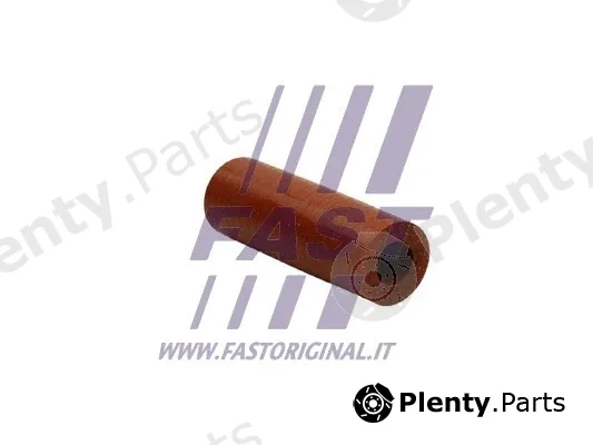 Fast FT38507 — Oil Pipe, charger