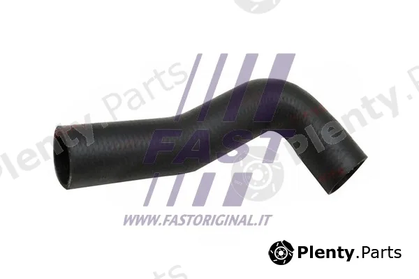 Fast FT61951 — Charge Air Hose