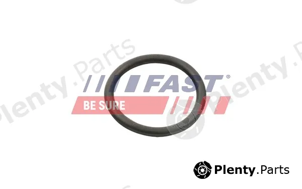 Fast FT49934 — Gasket, water pump