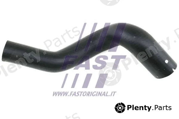 Fast FT61751 — Charge Air Hose