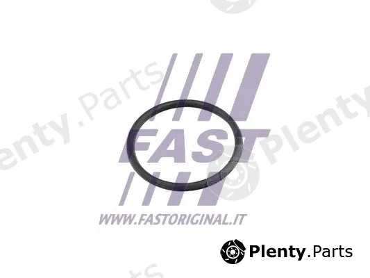 Fast FT49920 — Gasket, coolant pipe