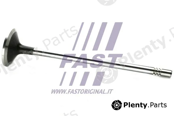 Fast FT50133 — Intake Valve