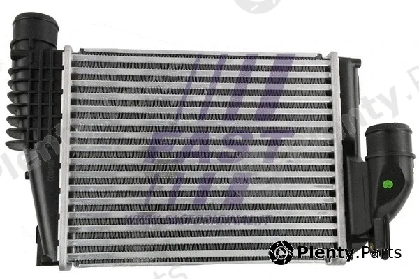 Fast FT55588 — Charge Air Cooler