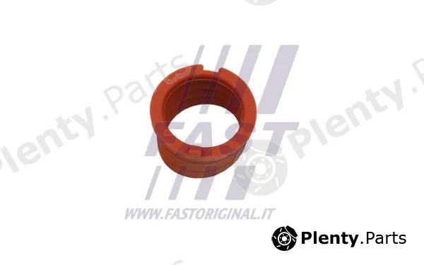 Fast FT48814 — Gasket, charger