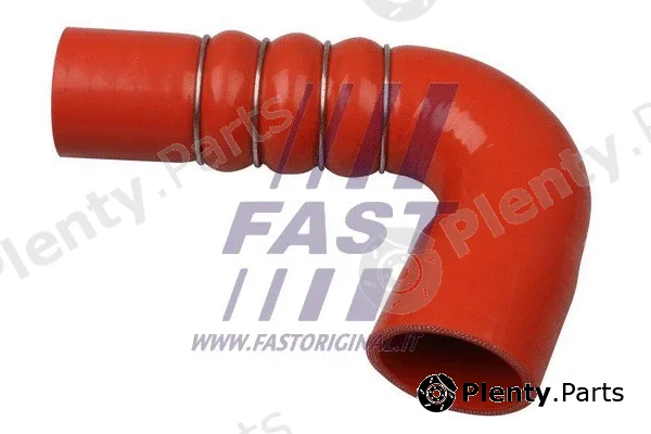 Fast FT61663 — Charge Air Hose