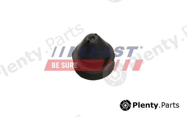 Fast FT55811 — Mounting, radiator