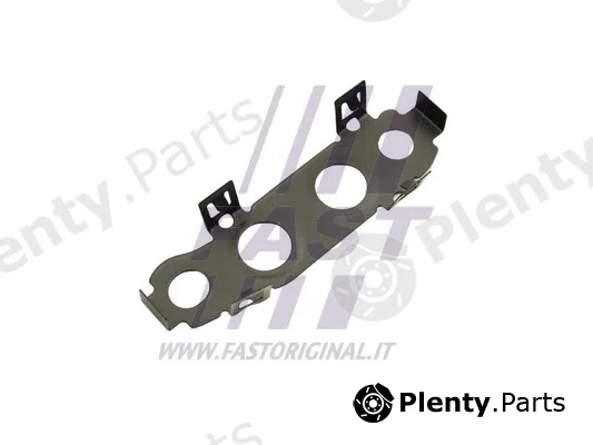 Fast FT48810 — Gasket, charger