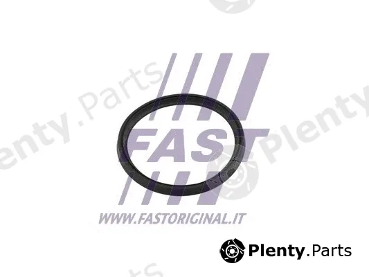 Fast FT49854 — Seal Ring, charger