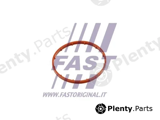 Fast FT50701 — Gasket, vacuum pump