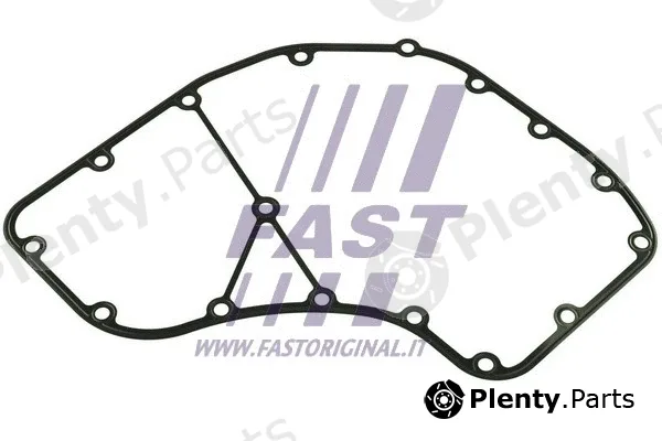 Fast FT49064 — Gasket, timing case