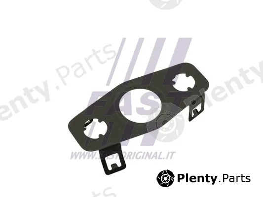 Fast FT48809 — Seal Ring, oil outlet (charger)