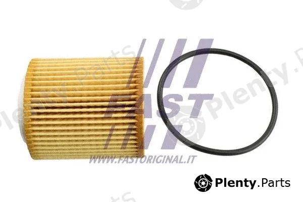 Fast FT38100 — Oil Filter