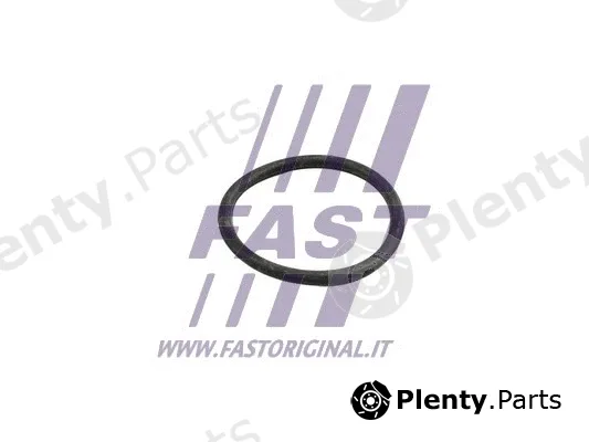 Fast FT49918 — Gasket, coolant pipe