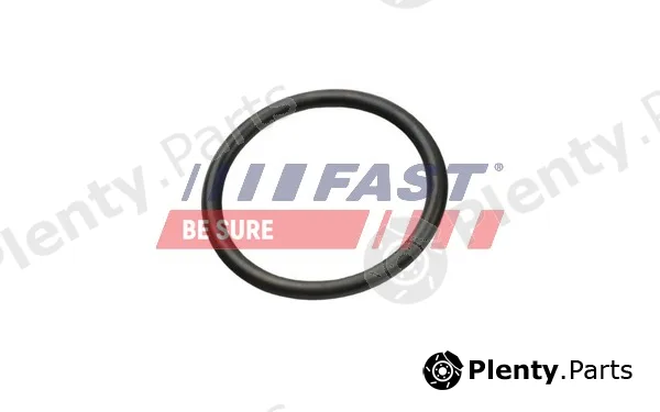 Fast FT49927 — Gasket, coolant pipe