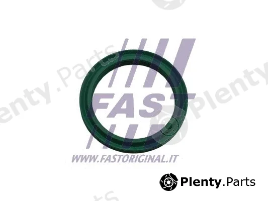 Fast FT48933 — Seal Ring, charge air hose