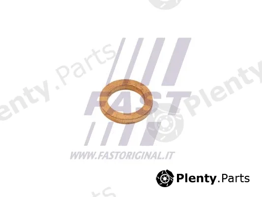 Fast FT48802 — Seal, turbine inlet (charger)