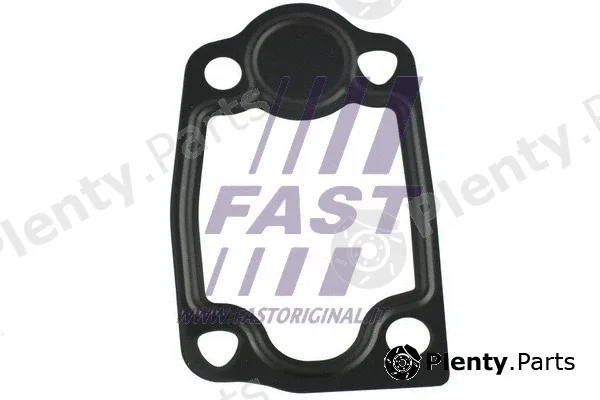 Fast FT49903 — Seal, thermostat