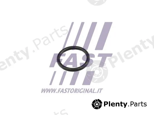Fast FT49856 — Gasket, coolant flange