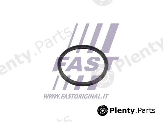 Fast FT49857 — Seal Ring, charger