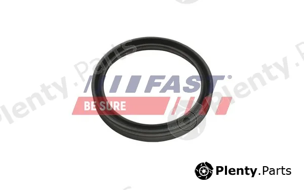 Fast FT48956 — Seal Ring, charge air hose