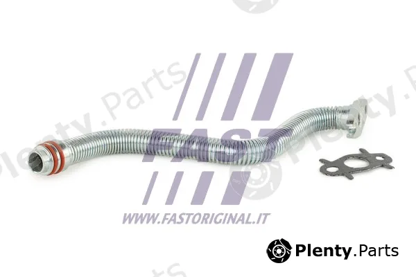 Fast FT61319 — Oil Hose